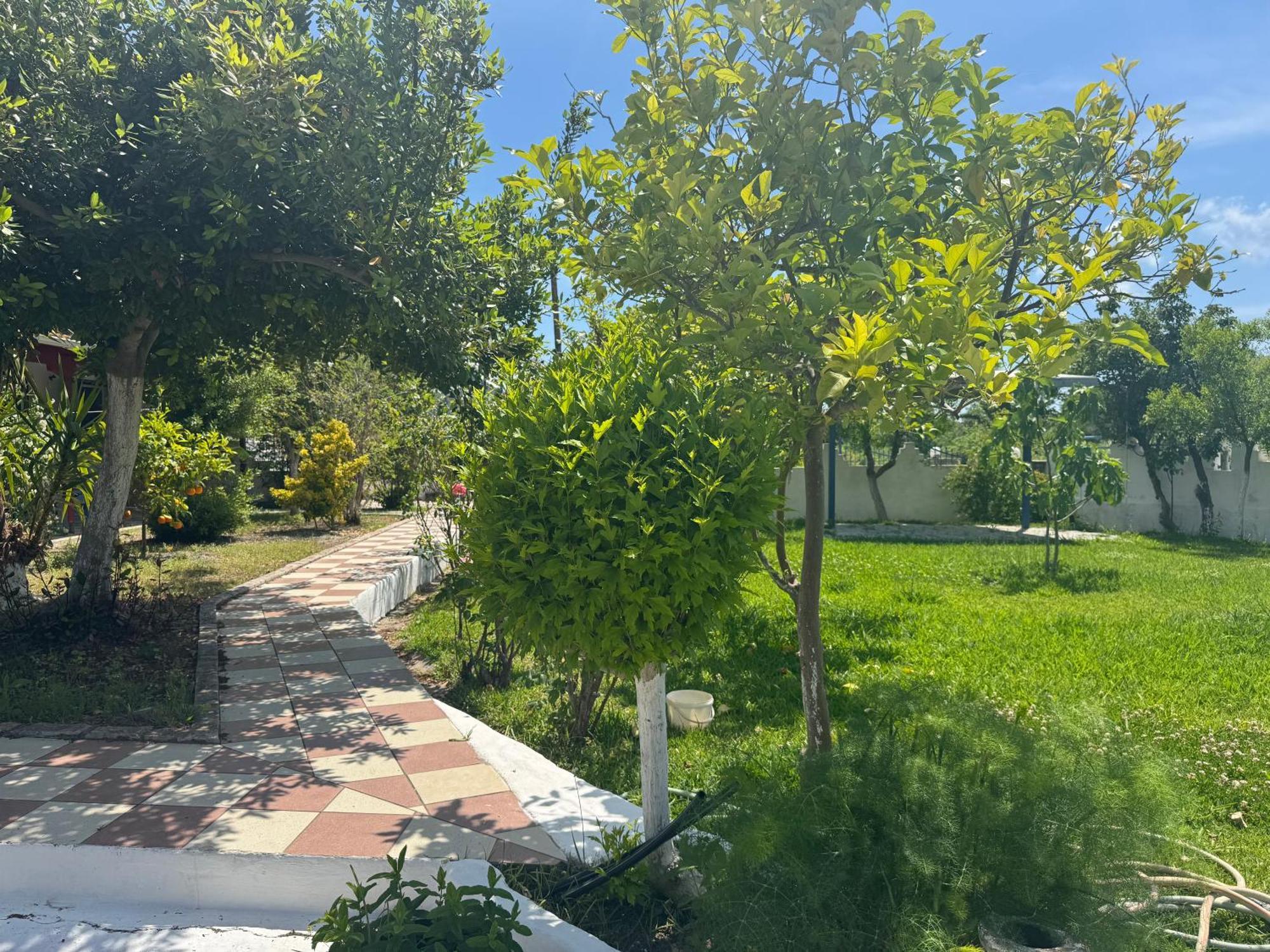 Koala Place Vasilikí Dış mekan fotoğraf